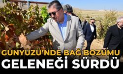 Günyüzü’nde Bağ Bozumu Geleneği Sürdü