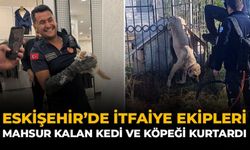 Eskişehir’de İtfaiye Ekipleri Mahsur Kalan Kedi ve Köpeği Kurtardı