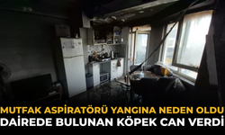 Mutfak Aspiratörü Yangına Neden Oldu: Dairede Bulunan Köpek Can Verdi