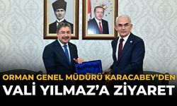 Orman Genel Müdürü Karacabey’den Vali Yılmaz’a Ziyaret