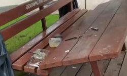 Eskişehir'de Park Tahribatına Tepki: Kamelya ve Masalar Kırıldı