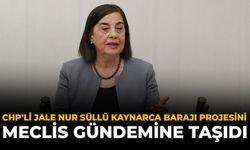 CHP’li Jale Nur Süllü, Kaynarca Barajı Projesini Meclis Gündemine Taşıdı