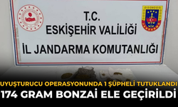 Uyuşturucu Operasyonunda 1 Şüpheli Tutuklandı: 174 Gram Bonzai Ele Geçirildi