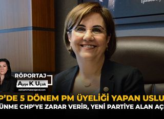 Gaye Usluer