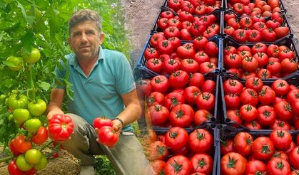 Sarıcakaya'da Çiftçiler Üretimden Memnun