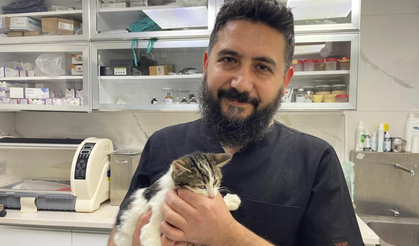 Veteriner Hekim Uyardı: Sahte Mamalara Dikkat!