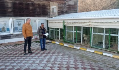 Petshop ve Hayvan Bakım Evlerine Denetim