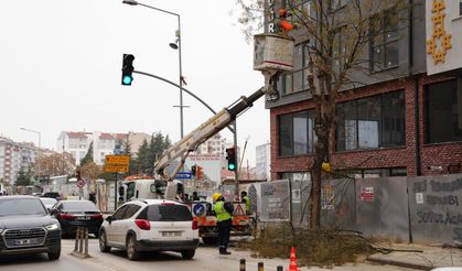 Büyükşehir Ekipleri Budama İşlemlerine Devam Ediyor