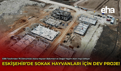 Eskişehir'de Sokak Hayvanları İçin Dev Proje!