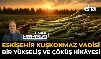 Eskişehir'in Kuşkonmaz Vadisi: Bir Yükseliş ve Çöküş Hikayesi
