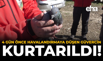 4 Gün Önce Havalandırmaya Düşen Güvercin Kurtarıldı!