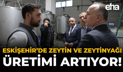 Eskişehir'de Zeytin ve Zeytinyağı Üretimi Artıyor!