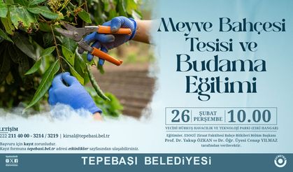 Eskişehir'de Üreticilere Ücretsiz Meyve Bahçesi ve Budama Eğitimi