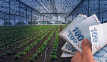 Devlet Köye Yerleşene Para Ödeyecek! İşte Yeni Destek Planı