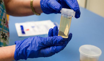 İşe Girmek İsteyenler Dikkat: Yeni Düzenleme Geliyor!