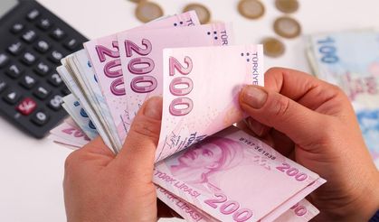 500 Bin Lirasını Bu Bankalara Koyan Rekor Faiz Alacak