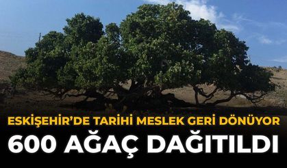 Eskişehir’de Tarihi Meslek Geri Dönüyor: 600 Ağaç Dağıtıldı