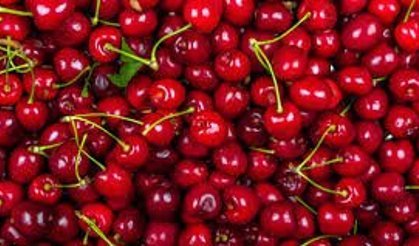 Sezonun İlk Kirazı Rekor Fiyatla Geldi: Kilogramı 6 Bin TL