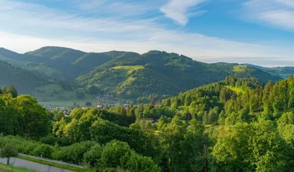 Türkiye'nin En Yeşil Kentleri Açıklandı: Sadece 14 İl Sınırı Geçebildi
