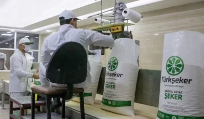 Türkşeker İş İlanını Duyurdu: 5 Farklı Kadroda 525 İşçi Aranıyor