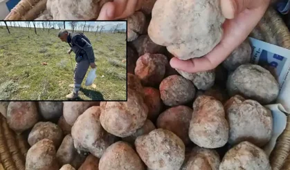 Eskişehirliler Sabahın Köründe Arıyor: Kilosu 2 Bin TL'den Satılıyor