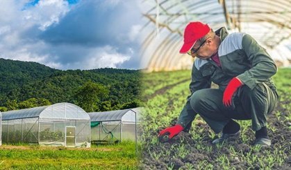 Avrupa'nın En Büyük Sera Üssü Türkiye'de Olacak: 3 İlçe Birleşti