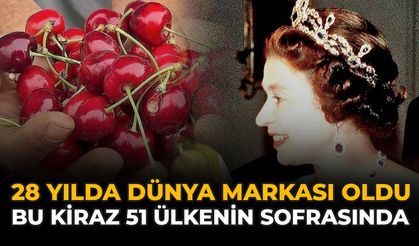 28 Yılda Dünya Markası Oldu: Bu Kiraz 51 Ülkenin Sofrasında