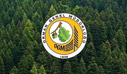 6 Şehirde 92 Kadro Açıldı: Milli Parklara Alım Başladı! İşte Başvuru Şartları