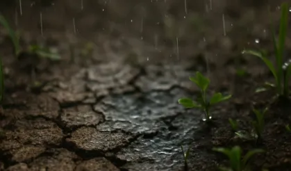 İnsan Burnu Bu Kokuyu Trilyonda 5 Parçayla Bile Algılıyor