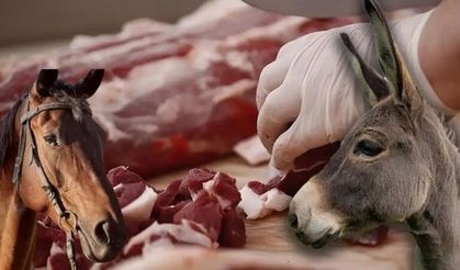 İçli Köfte ve Kavurmada Eşek Eti Çıktı: Bakanlık Bu Markalara Suç Duyursunda Bulundu