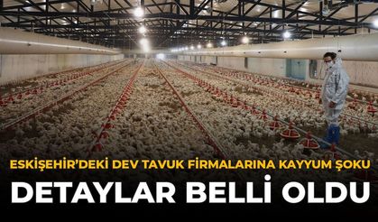 Eskişehir'deki Dev Tavuk Firmalarına Kayyum Şoku: Detaylar Belli Oldu
