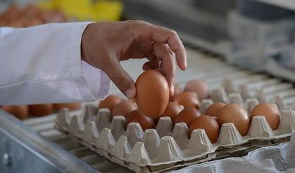 Yumurtada Haksız Fiyat Uyarısı: Üretici 45 TL Market 75 TL'ye Satıyor