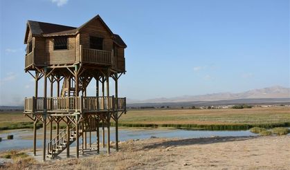 Şehrin Gürültüsünden Uzakta Saklı Bir Cennet: Görenler Gözlerine İnanamıyor