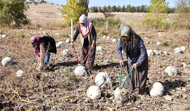 Ürünlerini Tanıtmanın Gururunu Yaşıyorlar