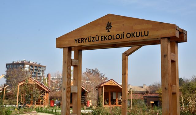 Yeryüzü Ekoloji Okulu Aralık Atölyeleri Başlıyor