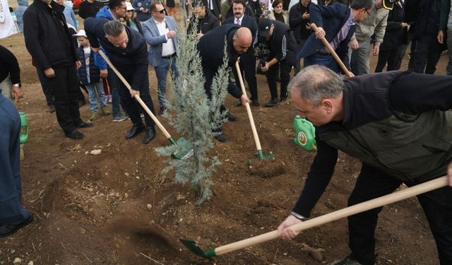 Eskişehir Orman Bölge Müdürlüğü 2023 Yılında 1 Milyon 264 Bin Fidan Dikti