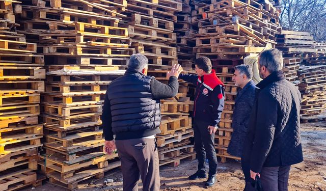 İhracata Konu Olan Ahşap Ambalaj Malzemeleri İle İlgili Denetim