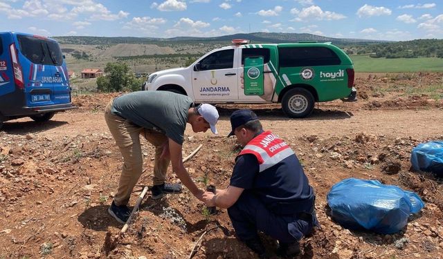 Jandarmadan Çevre Haftası Faaliyetleri