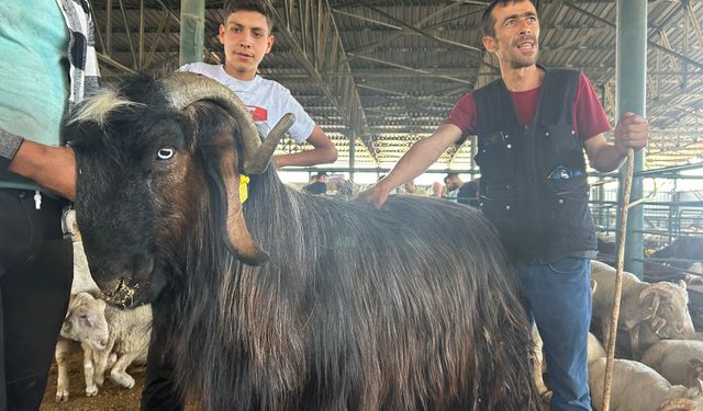 Ünlü 'Karaoğlan' Yurt Dışına Satıldı