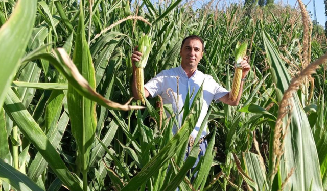 Hasat Öncesi Kontroller Tamamlandı