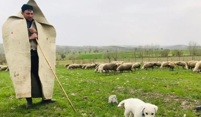 Tarım ve Orman Bakanlığı'ndan Önemli Destek