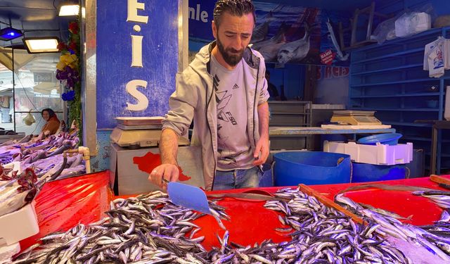 Palamut Ucuzladı: Vatandaştan İlgi Yoğun