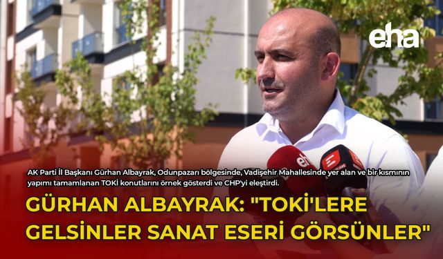 Gürhan Albayrak: "TOKİ'lere Gelsinler Sanat Eseri Görsünler"