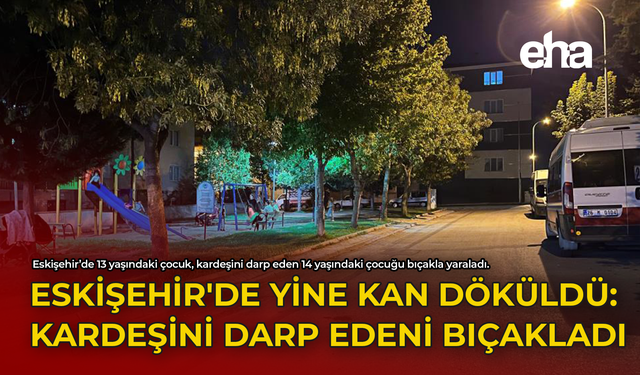 Kardeşini Darp Eden Çocuğu Bıçakladı