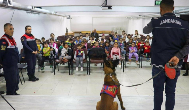 Jandarmadan Hayvanları Koruma Etkinliği