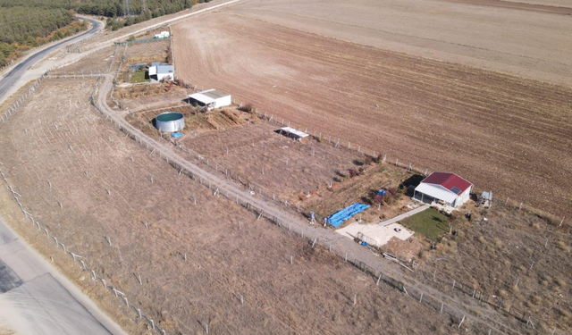 Odunpazarı Belediyesi Kaçak Yapıların Yıkımlarına Başlıyor