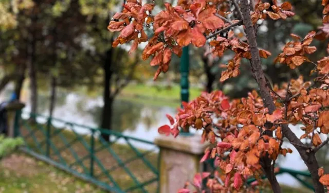 Eskişehir'de Hava Sıcaklığı Artacak