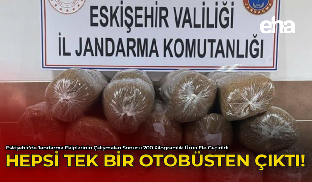 Hepsi Tek Bir Otobüsten Çıktı!