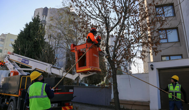 EBB'den Ağaçlara Kış Bakımı