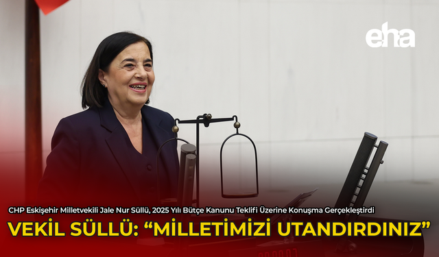 Vekil Süllü: “Milletimizi Utandırdınız”